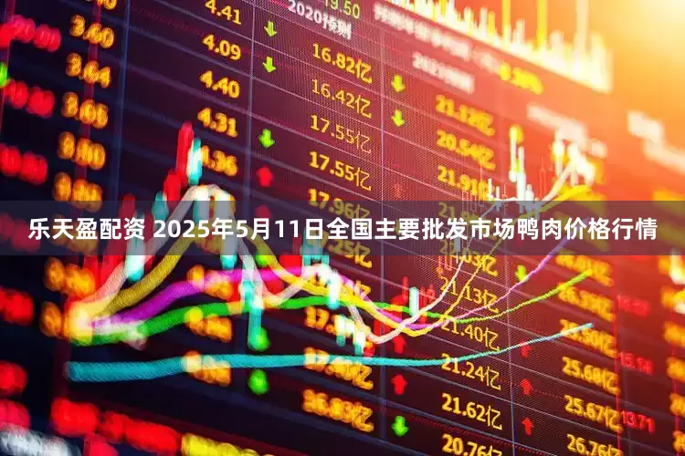 乐天盈配资 2025年5月11日全国主要批发市场鸭肉价格行情