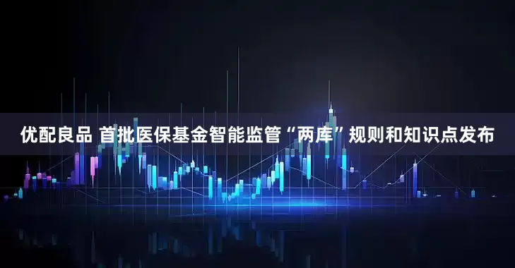 优配良品 首批医保基金智能监管“两库”规则和知识点发布
