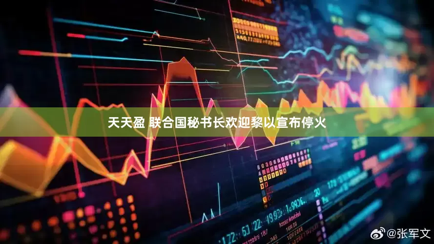 天天盈 联合国秘书长欢迎黎以宣布停火